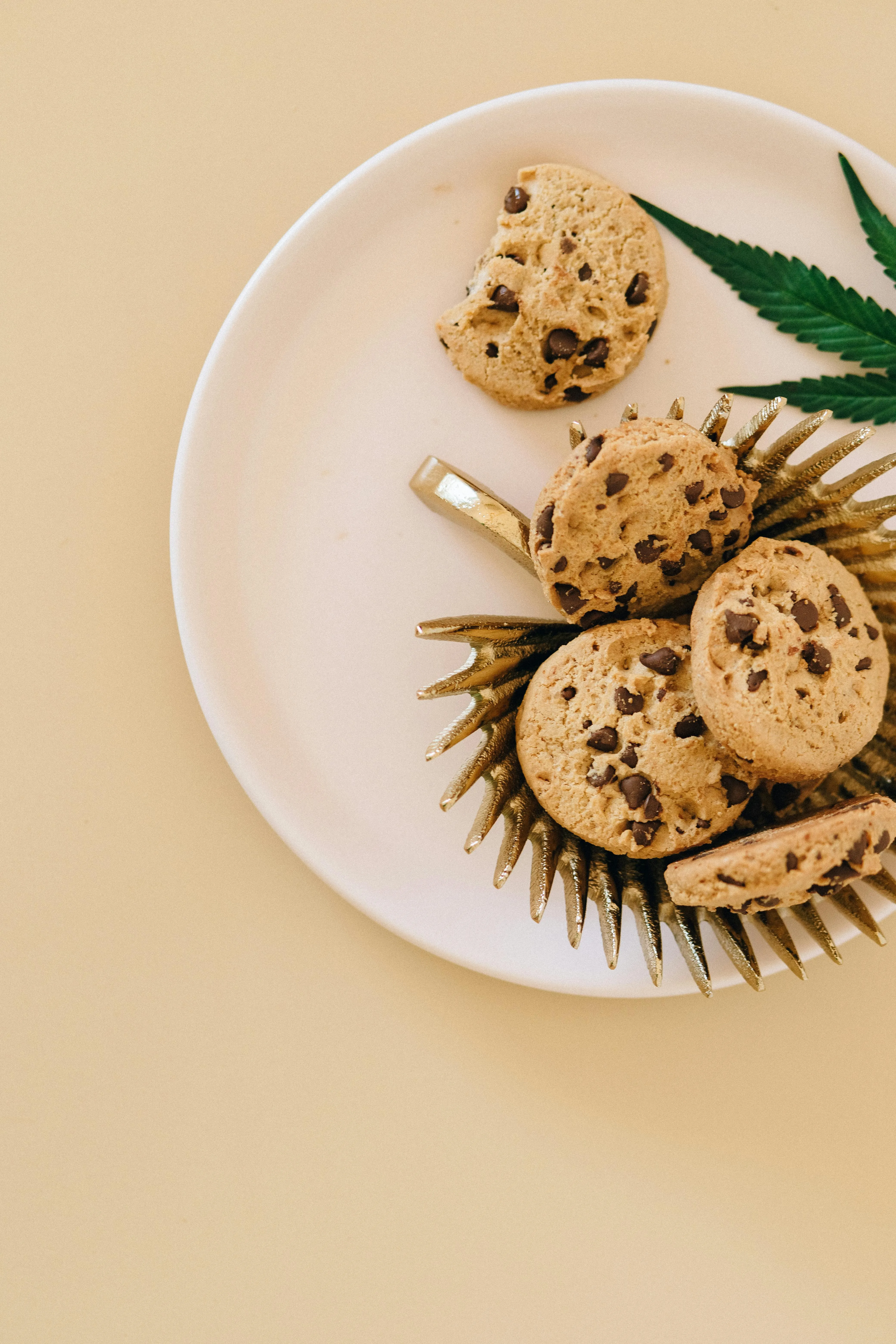 Best Cannabis Edibles